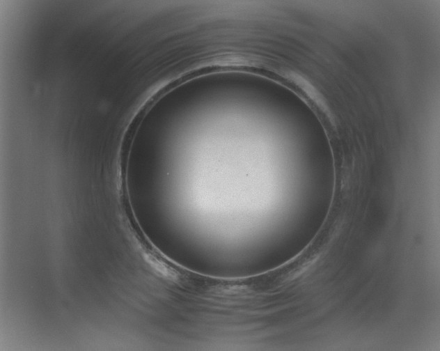 X0000070380837200606091123