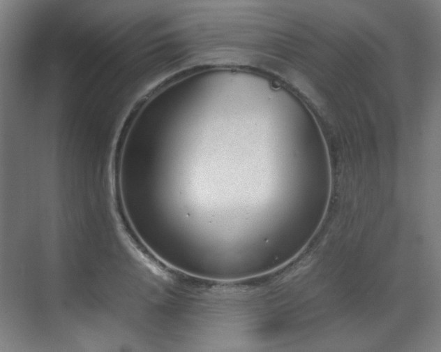 X0000070380840200606091123