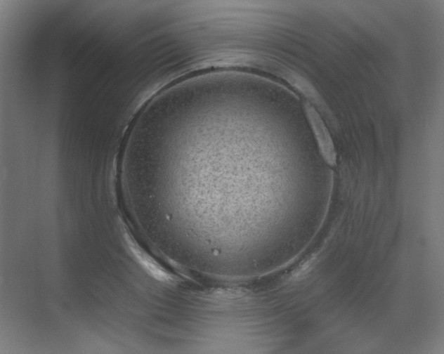 X0000070380842200606091123