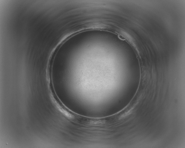 X0000070380843200606091123