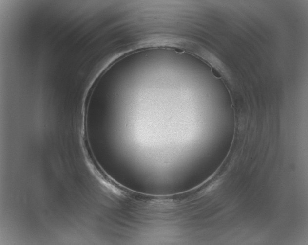 X0000070380844200606091123