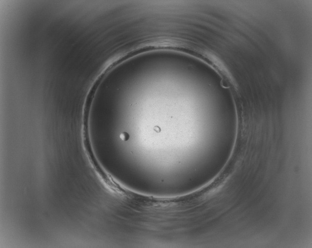 X0000070380845200606091123