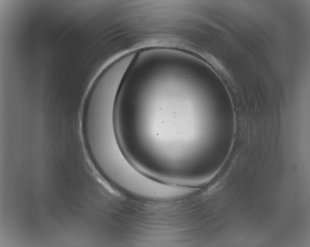 X0000070380846200606091123