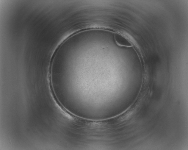 X0000070380847200606091123