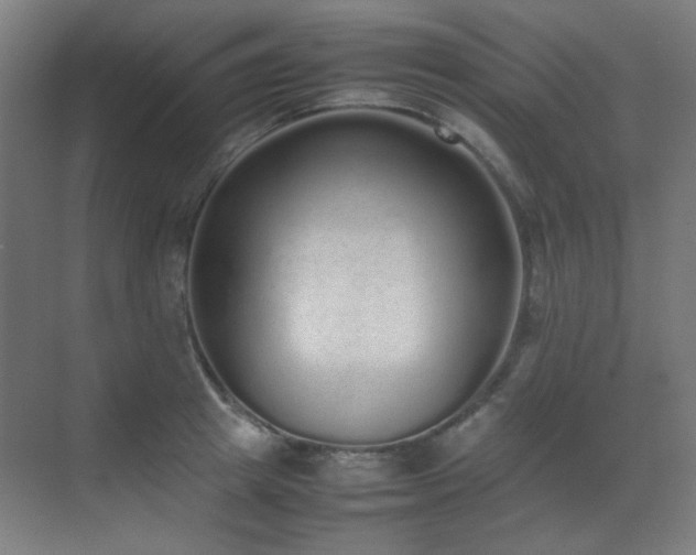 X0000070380849200606091123