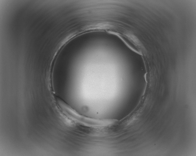 X0000070380850200606091123