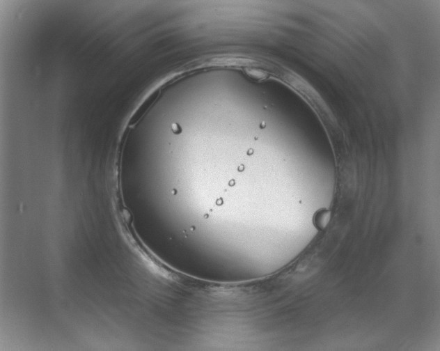 X0000070380852200606091123