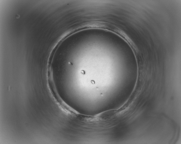 X0000070380853200606091123