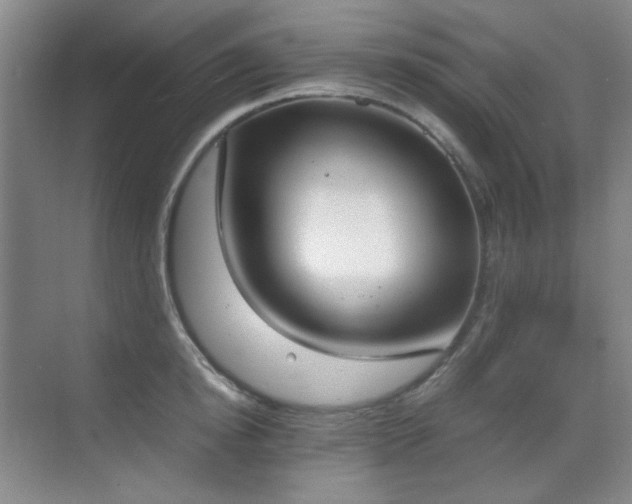 X0000070380854200606091123