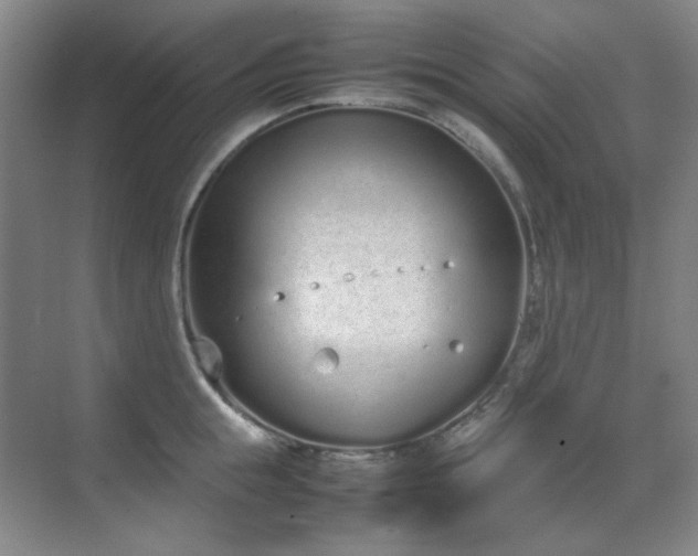 X0000070380855200606091123