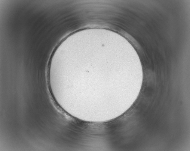 X0000070380856200606091123