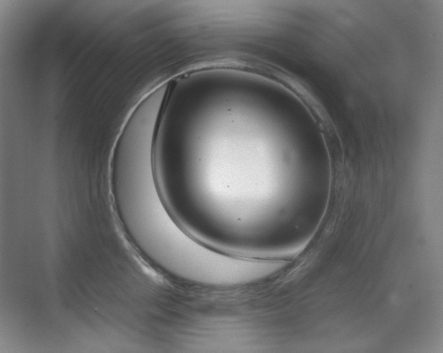 X0000070380858200606091123