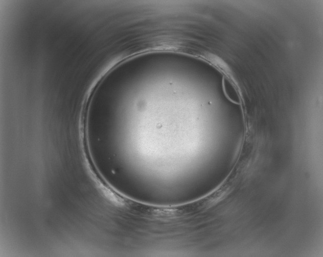 X0000070380859200606091123