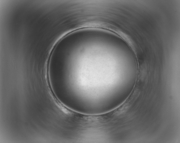 X0000070380862200606091123