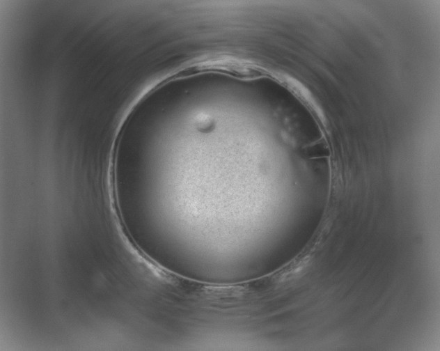 X0000070380863200606091123