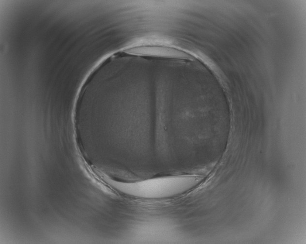 X0000070380864200606091123