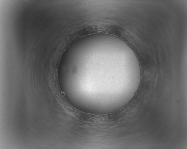 X0000070380865200606091123