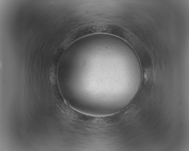 X0000070380867200606091123