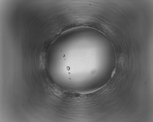 X0000070380868200606091123