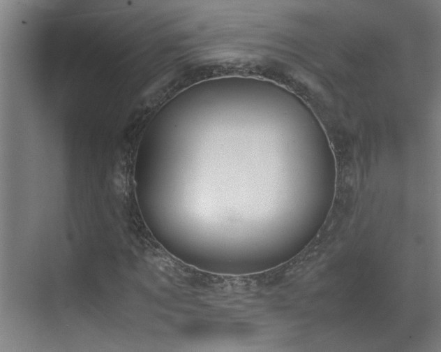 X0000070380869200606091123