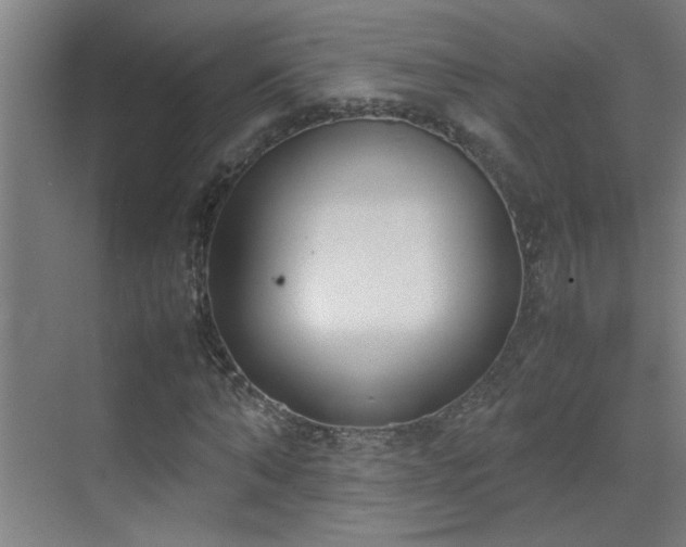 X0000070380870200606091123