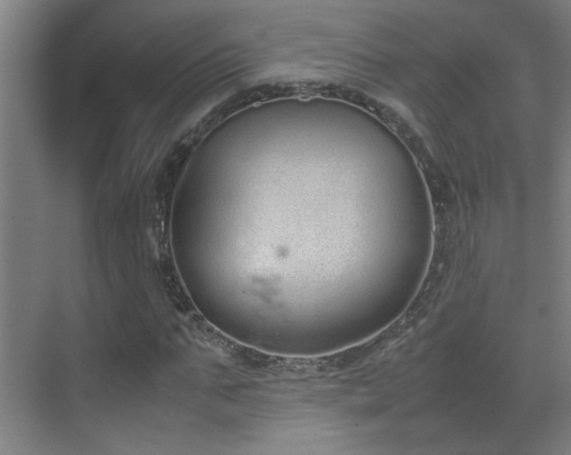 X0000070380871200606091123