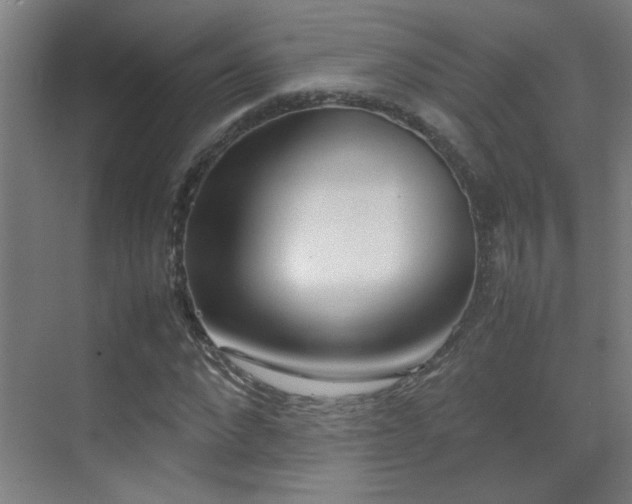 X0000070380872200606091123