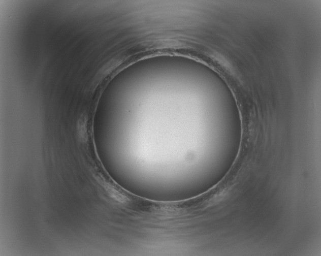 X0000070380873200606091123