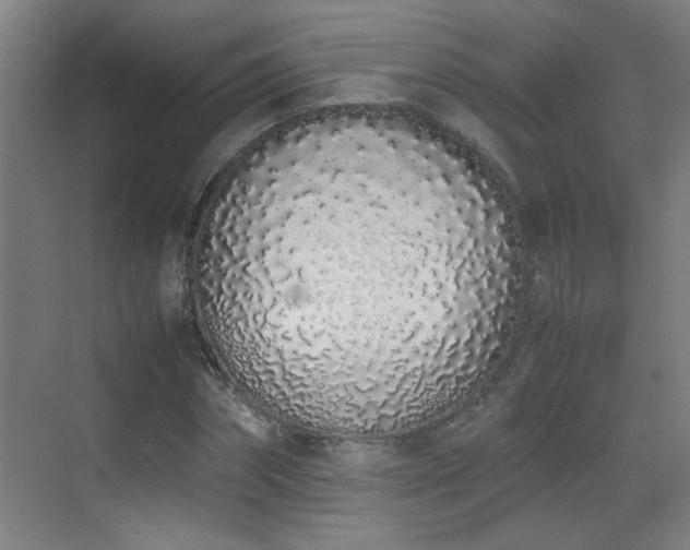 X0000070380874200606091123