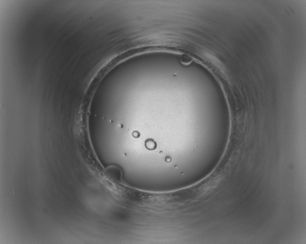 X0000070380875200606091123