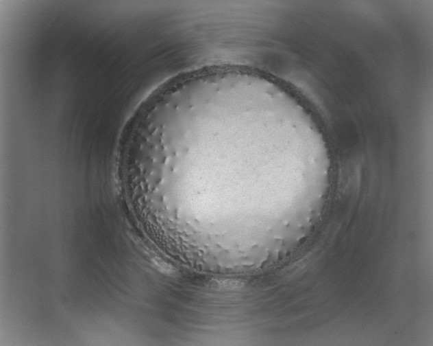 X0000070380878200606091122