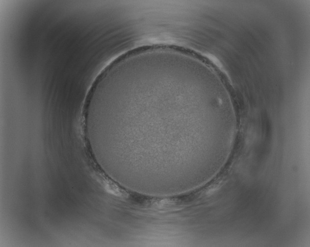 X0000070380879200606091122