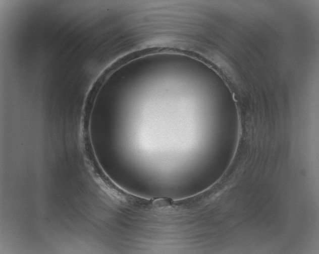 X0000070380880200606091122