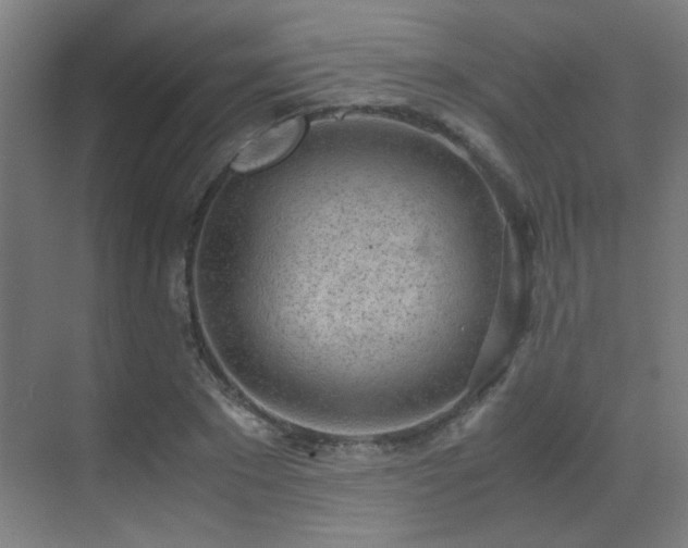 X0000070380881200606091122