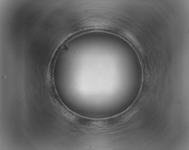 X0000070380883200606091122