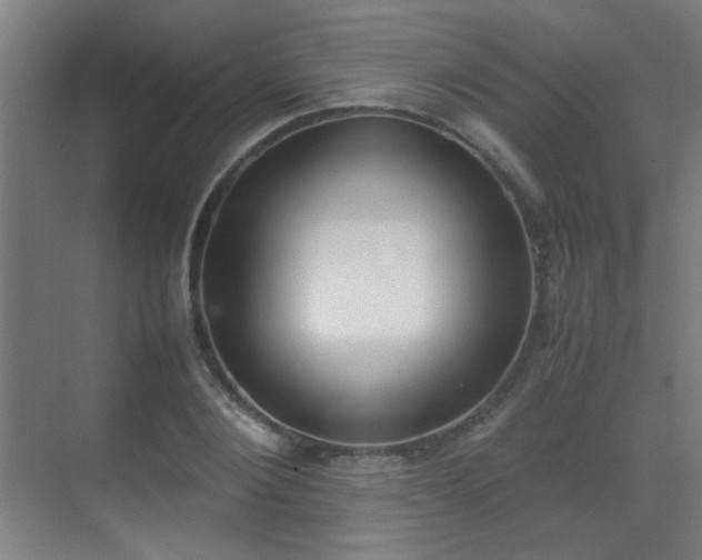 X0000070380884200606091122