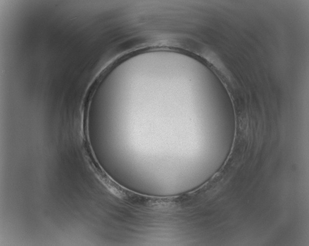 X0000070380886200606091122