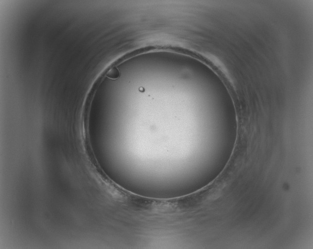 X0000070380887200606091122