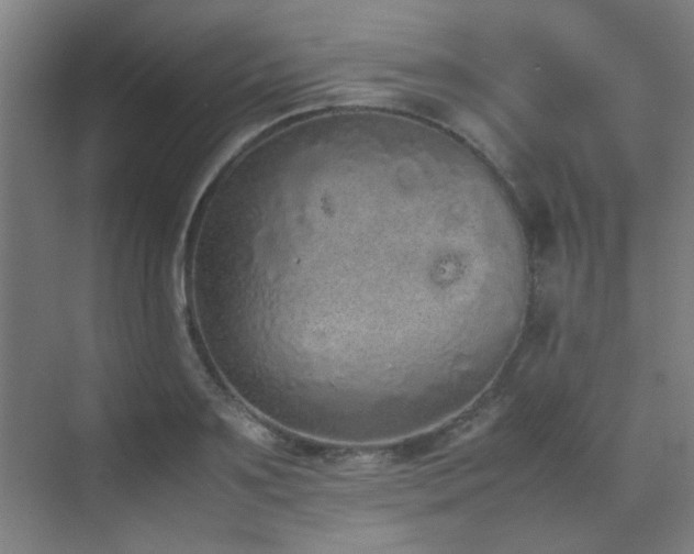 X0000070380891200606091122