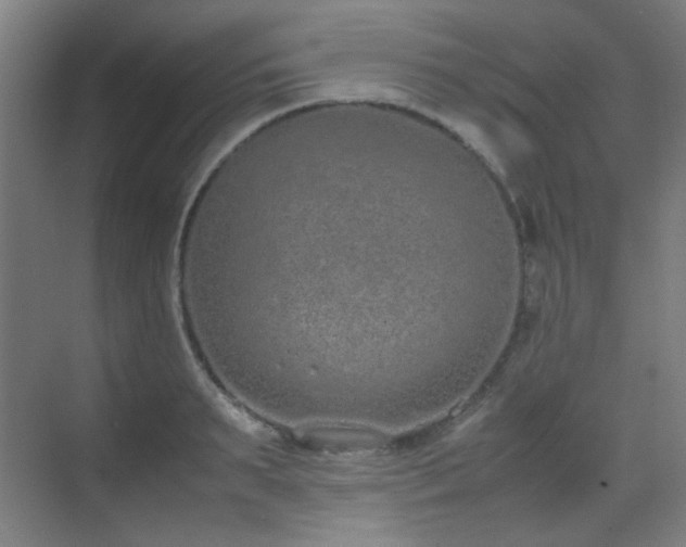 X0000070380895200606091122