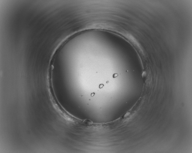 X0000070380896200606091122