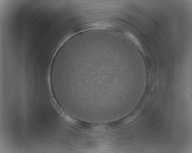 X0000070380899200606091122