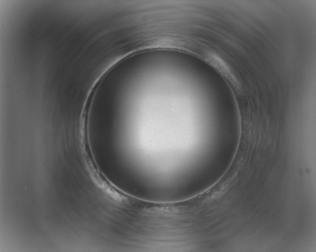 X0000070380900200606091122