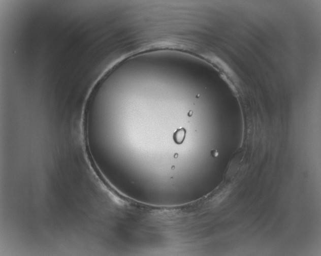 X0000070380902200606091122