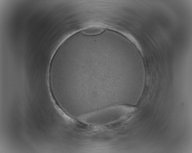 X0000070380903200606091122