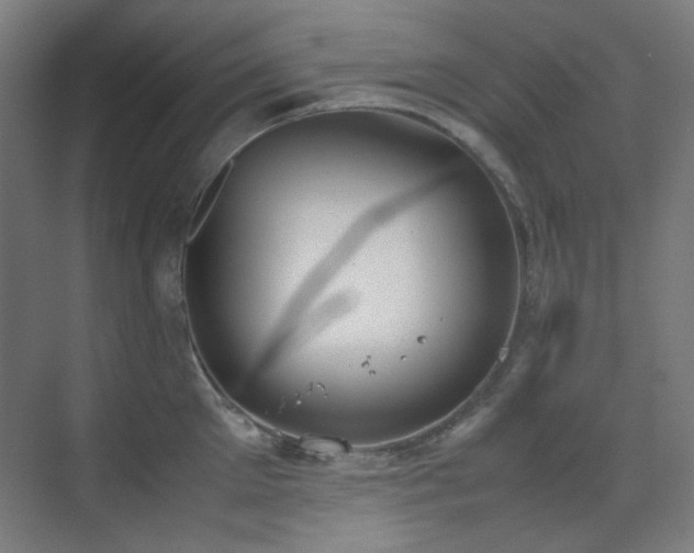 X0000070380905200606091122