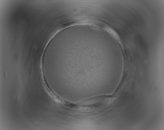 X0000070380907200606091122