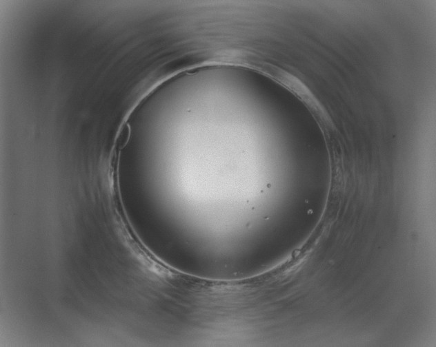 X0000070380908200606091122