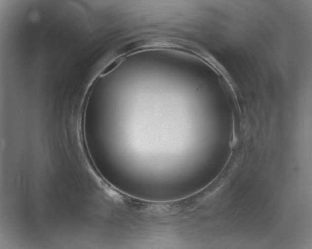 X0000070380909200606091122