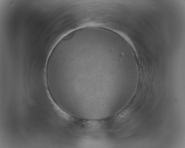 X0000070380911200606091122